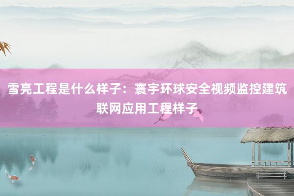 雪亮工程是什么样子：寰宇环球安全视频监控建筑联网应用工程样子